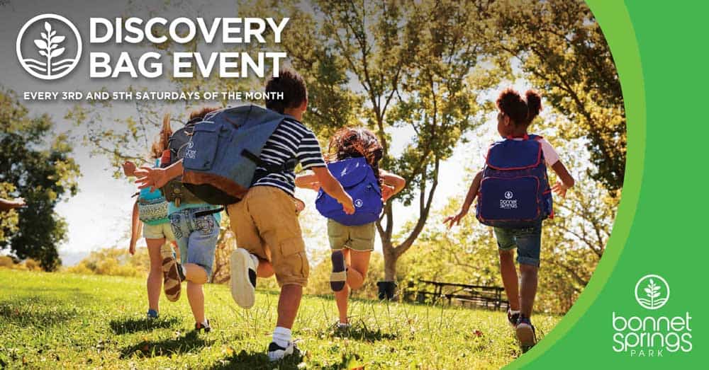 bsp-discovery-bag-event