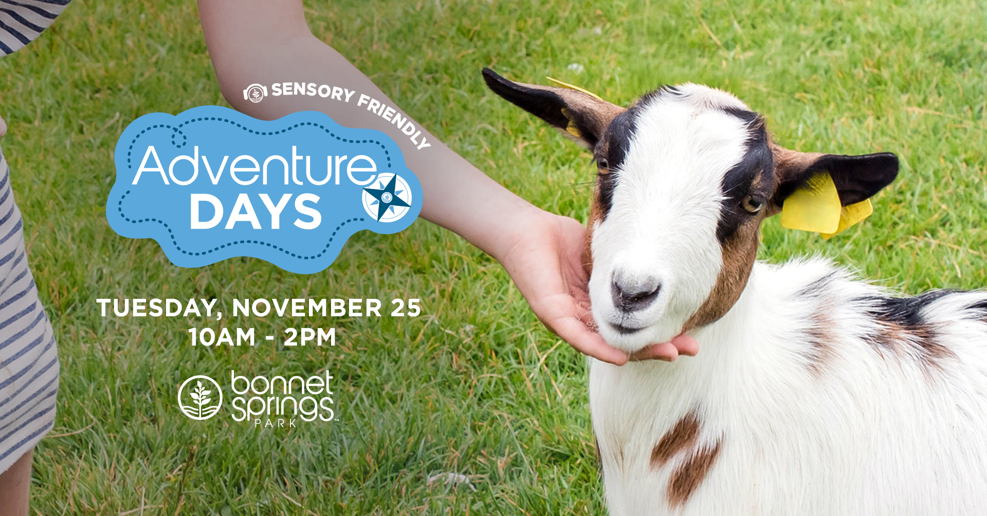 adventure days-nov-25-2025 adventure days-nov-25-2025