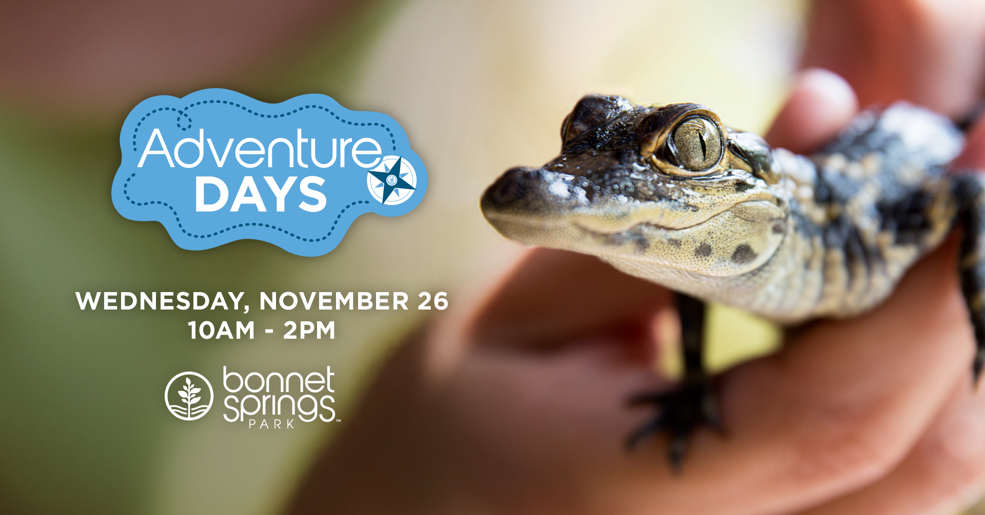 adventure-days-nov-26-2025 adventure-days-nov-26-2025