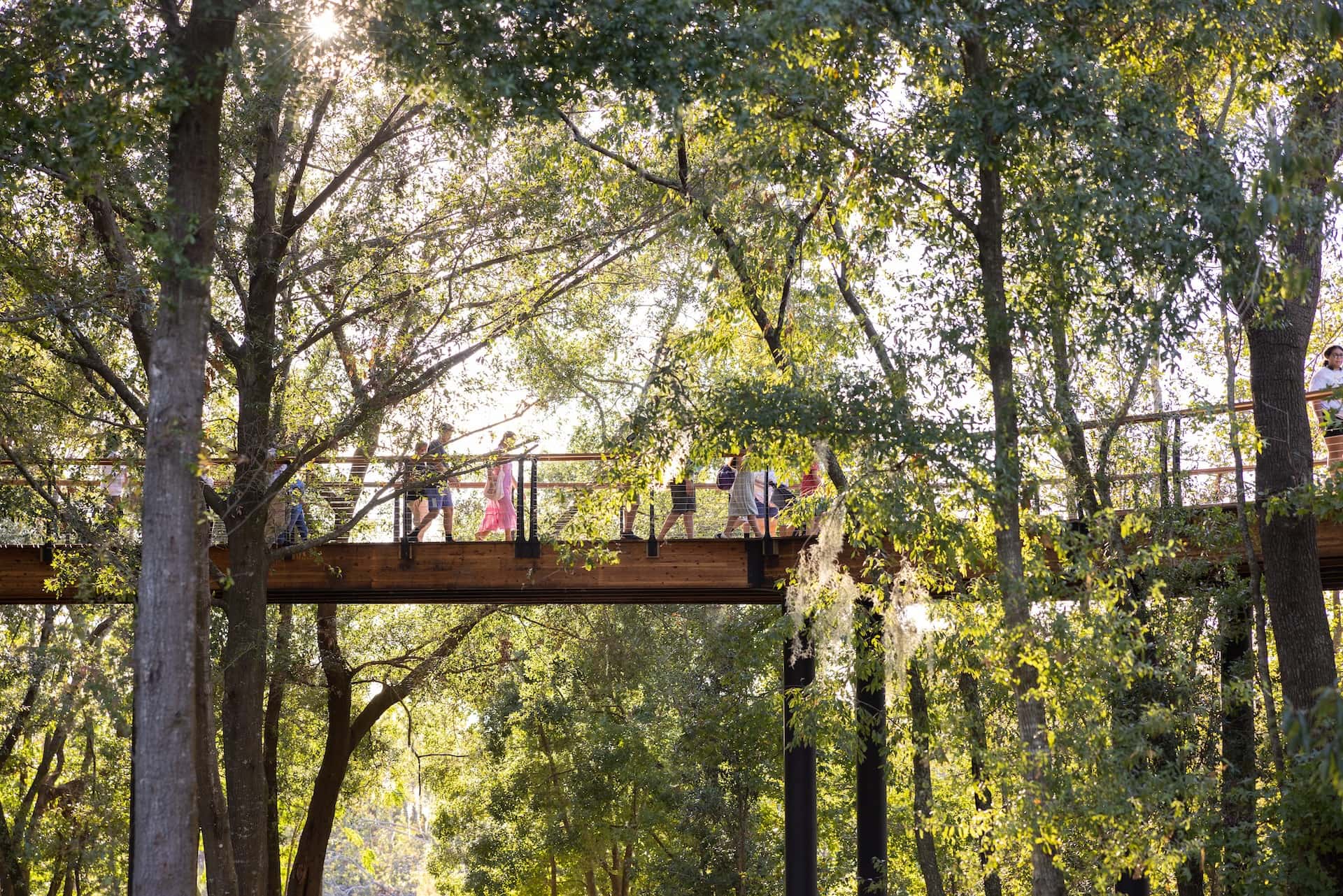 Crenshaw Canopy Walk