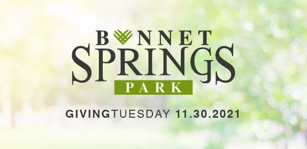 Giving Tuesday Graphic