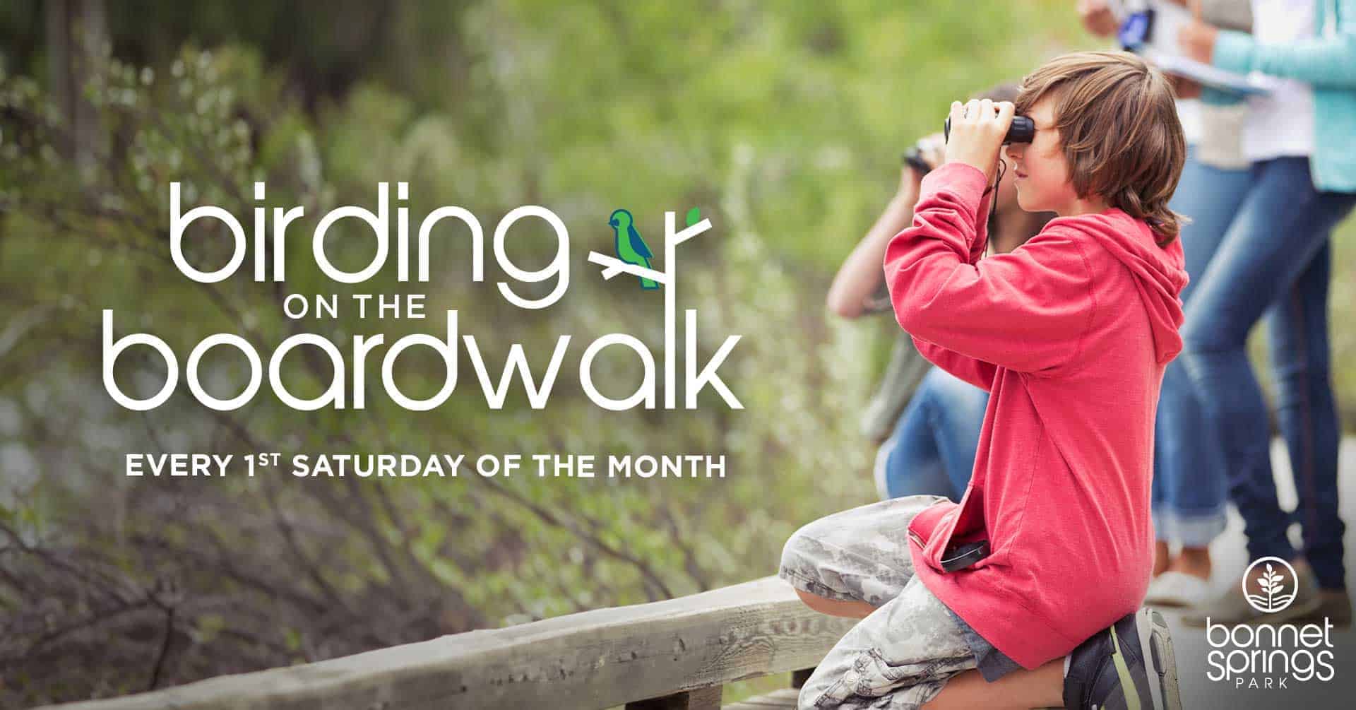 Birding on the Boardwalk