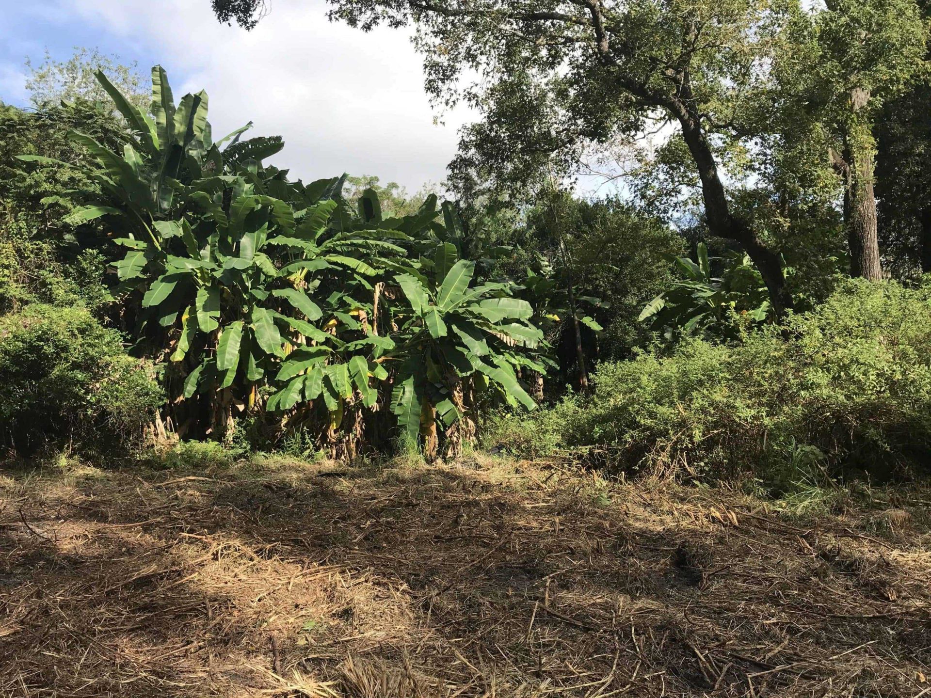 Secrets of the Past and Future