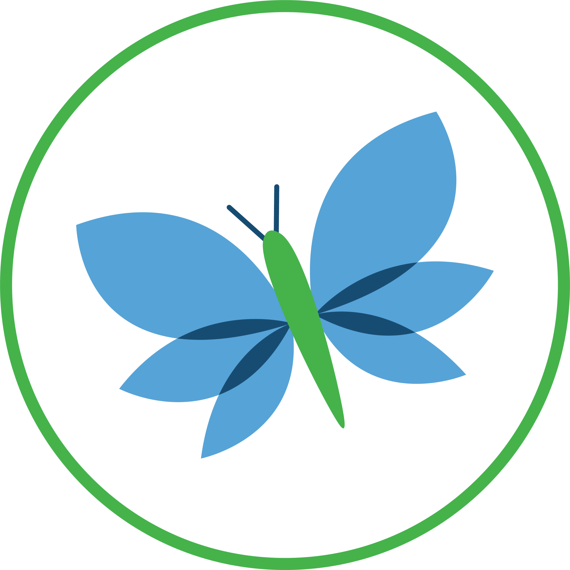 Friends of BSP Butterfly Membership Level