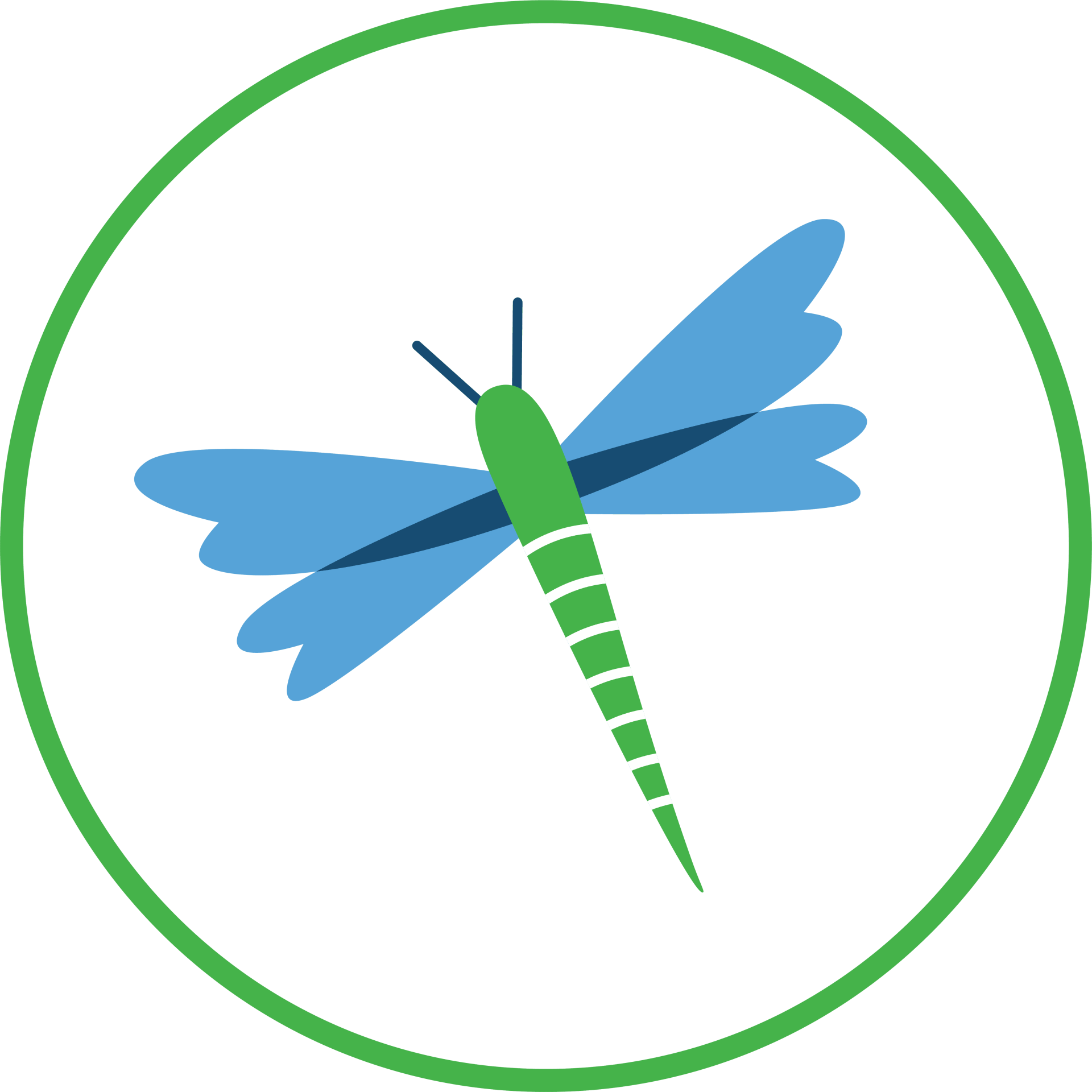 Friends of BSP Dragonfly Membership Level