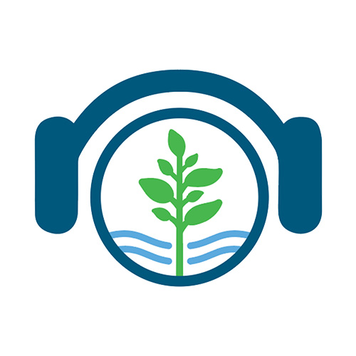 Sensory Friendly BSP