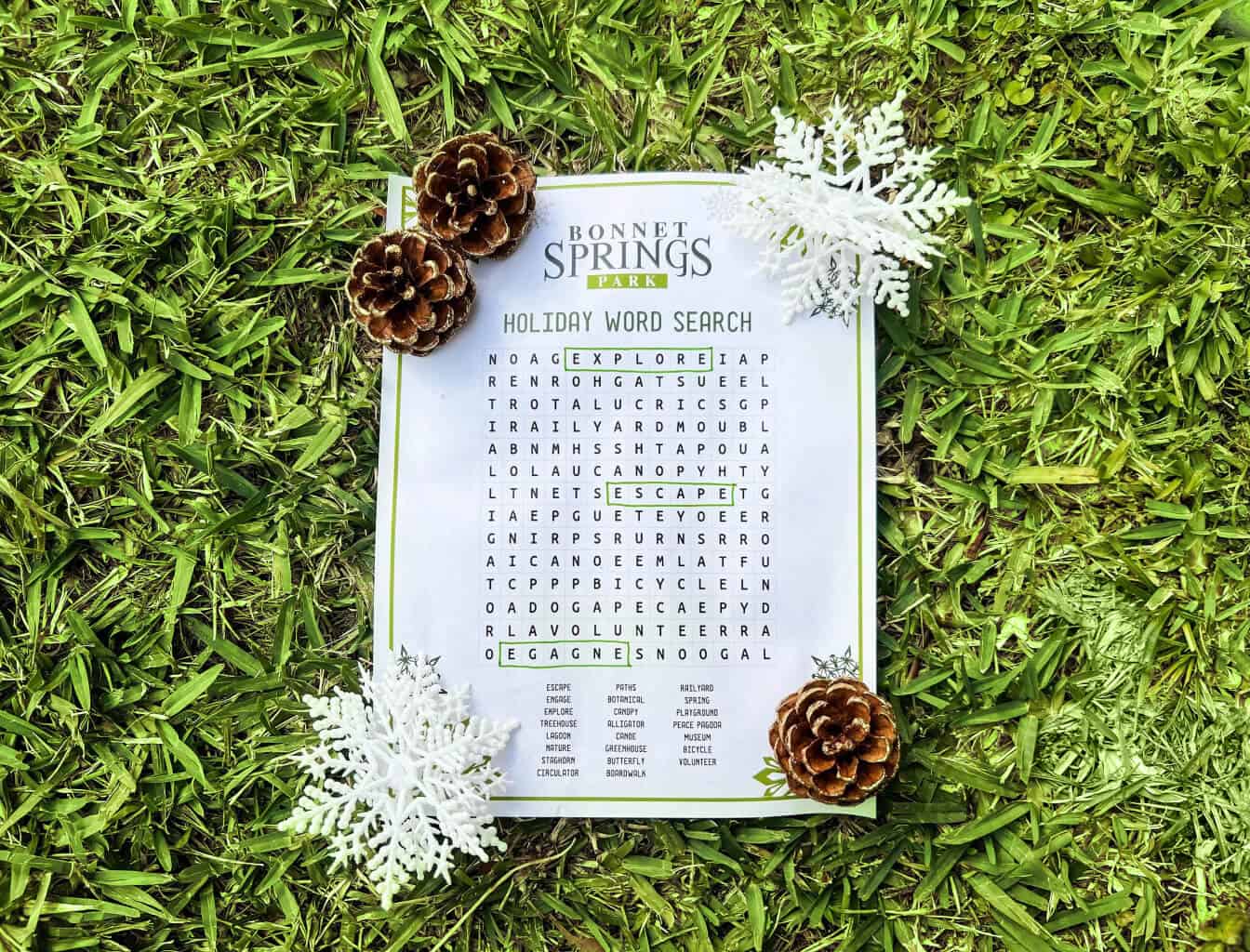 WordSearch